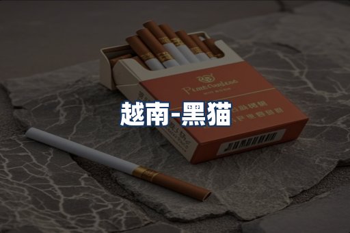 越南黑猫